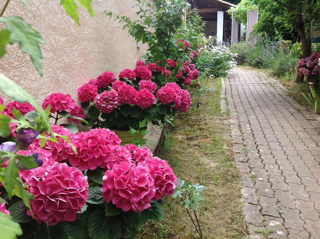 Bed & Breakfast Le Beausejour Carcassonne Exterior photo