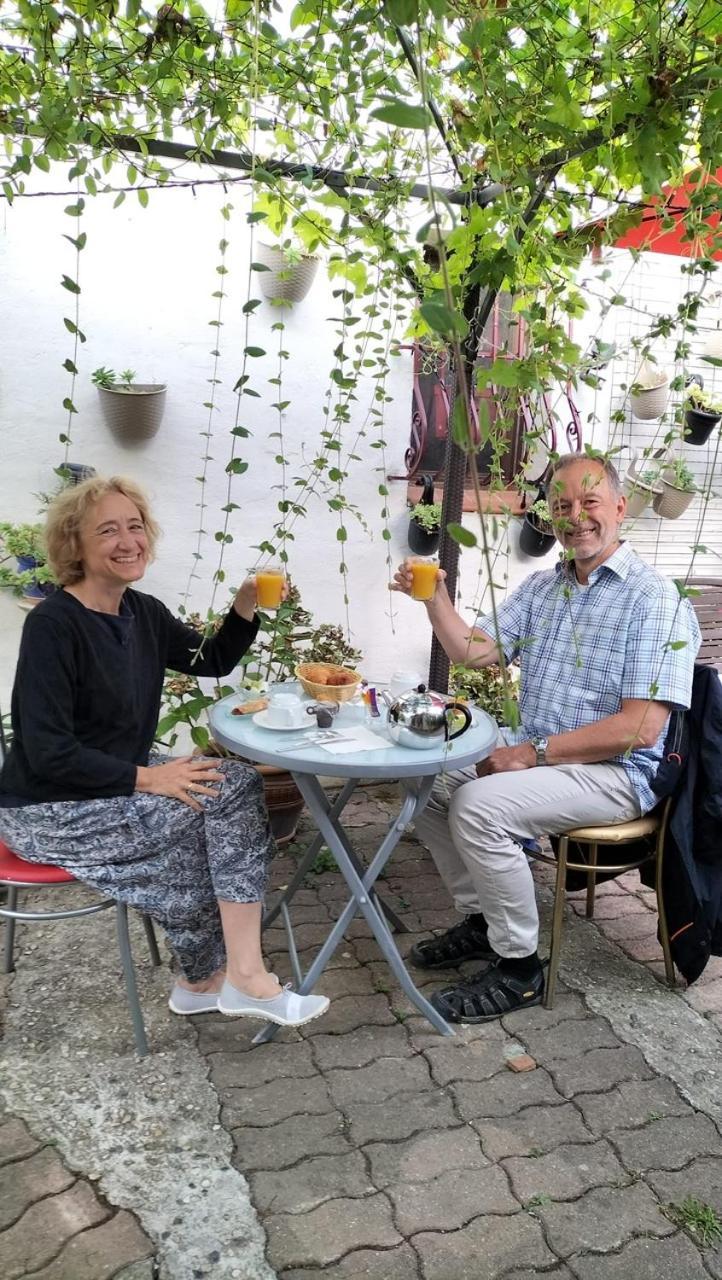 Bed & Breakfast Le Beausejour Carcassonne Exterior photo