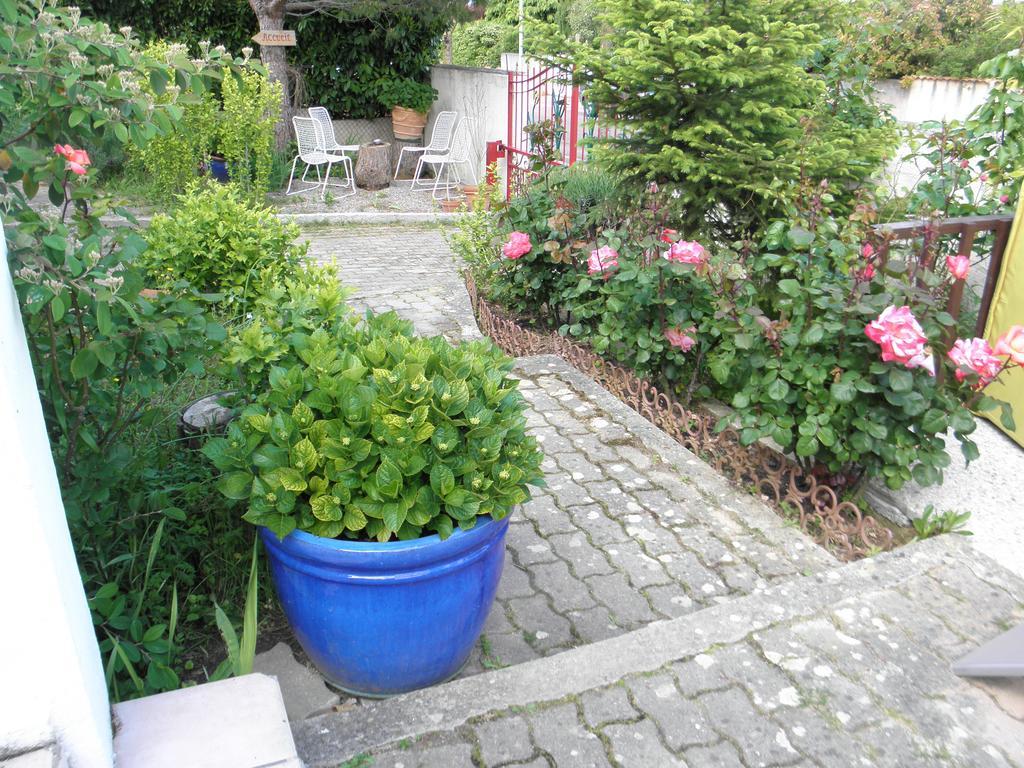 Bed & Breakfast Le Beausejour Carcassonne Exterior photo